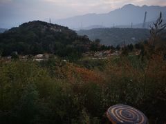 -白水寺森林公园