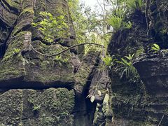 -梭布垭石林景区