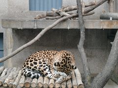 -西安秦岭野生动物园