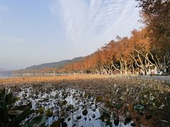 -北山街历史文化街区