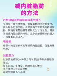 -Fundi张玉珊修身堂·indiba·BTL科技瘦身