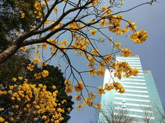 -天河体育中心