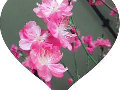-碧水湾温泉