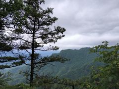 -朱雀国家森林公园