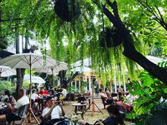 -Fern Forest Cafe
