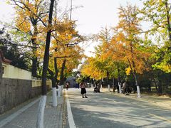 -八大关景区