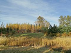 -长春世界雕塑园冰雪艺术天地