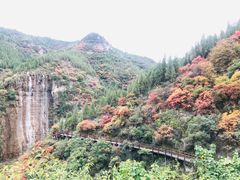 -黄花溪