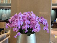 -天津香格里拉大酒店