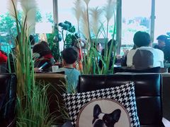 -咖法森林·咖啡  酒吧(天河店)