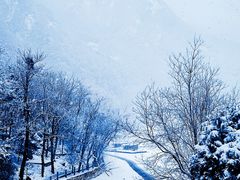 -秦岭终南山世界地质公园翠华山景区