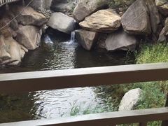 -黑龙潭风景区