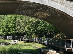 -白水寺森林公园