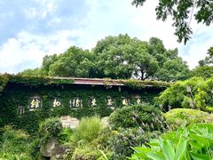 入口处-中国茶叶博物馆(双峰馆区)