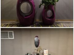 -南京禄口机场雅高铂尔曼大酒店