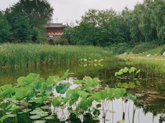-云岗森林公园