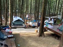 -山王坪喀斯特国家生态公园