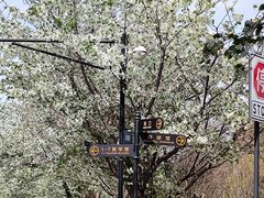 -成都大学-图书馆