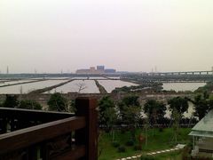 -大湾区中央湿地公园