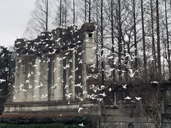 -音乐台