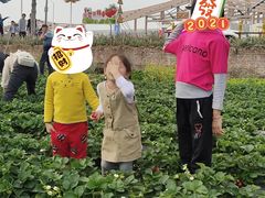 -万顷园艺世界