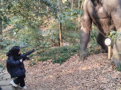 -杭州少年儿童公园