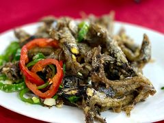 椒盐多春鱼-蛇口康乐快餐鱼仔档(翠苑小区店)