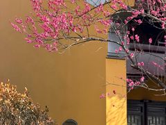 -圆通寺