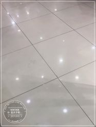 -金太子形象设计