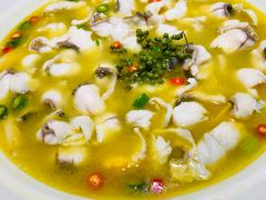 -青花椒花椒鱼(合生汇店)