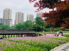 -龙头寺公园