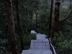 -小南山公园