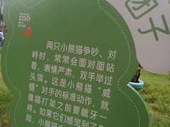 -武汉动物园