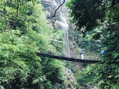 -天门沟九州驿站树上汤泉