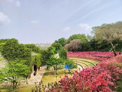 -老门东历史文化街区