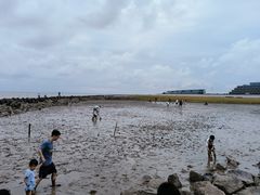 -南汇嘴观海公园