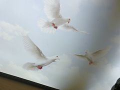 -徽三说·土徽菜·中国徽菜连锁品牌(一中店)