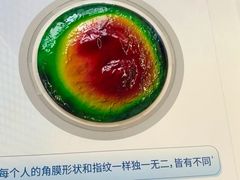-武汉大学附属爱尔眼科医院(湖北总院)