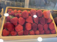 -一只酸奶牛(洪崖洞11楼店)