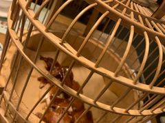 -胡桃里音乐酒馆(东区店)