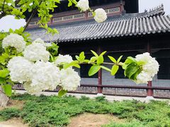 -花洲书院
