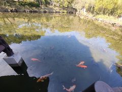 -兰亭风景区