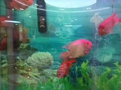 -雅悦齿科(顾村公园店)