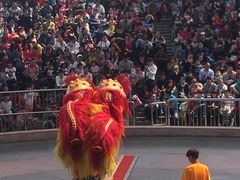 -石家庄市动物园