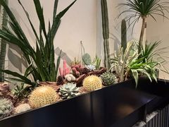 -J Create城市露营咖啡·简餐·宠物(上海动物园店)