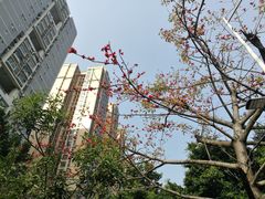 -宝安西湾红树林湿地公园