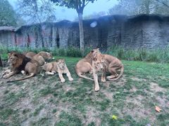 -北京野生动物园