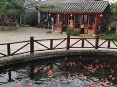 -香麒园·过桥米线·南湖雅宴