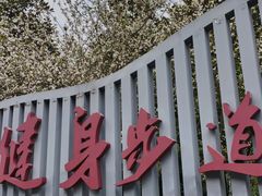 -龙头寺公园