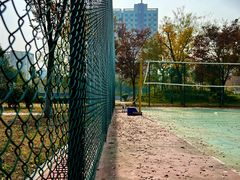 -铁道游击队纪念馆